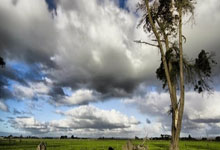 注冊深圳公司哪些U盾能用于電子簽名？